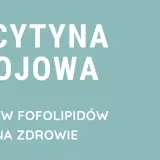 Lecytyna sojowa – wpływ fosfolipidów na zdrowie. Suplement diety w kapsułkach.