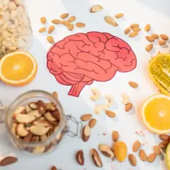 Dieta mind: orzechy, owoce i warzywa na białym tle. Inspiracja do zdrowych przepisów dla mózgu.