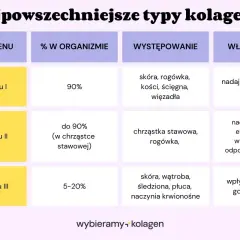 Tabela porównuje kolagen typy I, II i III: ich procent w organizmie, występowanie i właściwości. Kolagen typu I dominuje w skórze i kościach, nadając wytrzymałość.