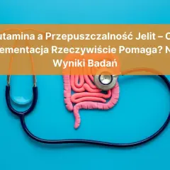 Glutamina co to? Stetoskop otacza model jelit, sugerując badanie wpływu glutaminy na ich przepuszczalność.