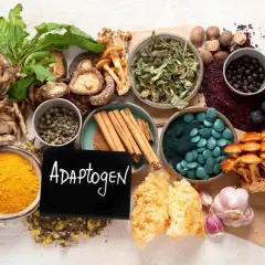 Naturalne składniki, takie jak grzyby, jagody, kurkuma i spirulina, mogą być kluczem do zrozumienia, adaptogeny co to.