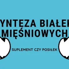 Dwa umięśnione ramiona po bokach napisu "SYNTEZA BIAŁEK MIĘŚNIOWYCH". Poniżej tekst "SUPLEMENT CZY POSIŁEK".