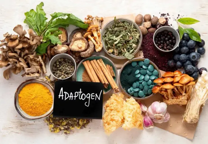 Naturalne składniki, takie jak grzyby, jagody, kurkuma i spirulina, mogą być kluczem do zrozumienia, adaptogeny co to.