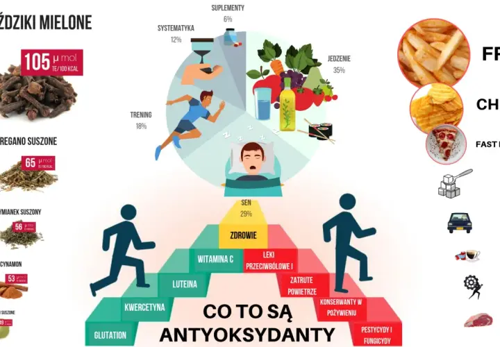 Co to są antyoksydanty? Grafika pokazuje źródła i czynniki wpływające na ich poziom: zioła, sen, trening, jedzenie, suplementy, a także czynniki szkodliwe jak fast food i pestycydy.
