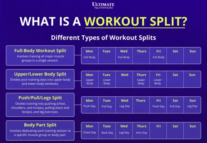 Różne rodzaje treningu split: Full-Body, Upper/Lower, Push/Pull/Legs, Body Part. Wybierz swój plan treningowy.