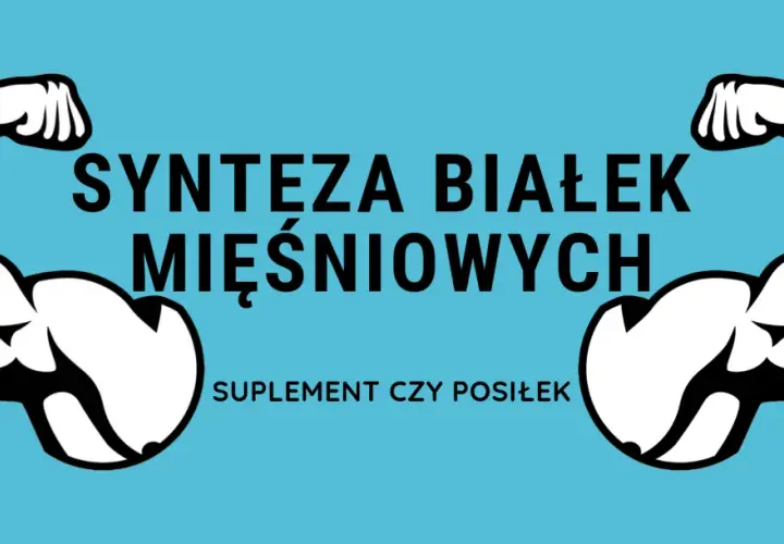 Dwa umięśnione ramiona po bokach napisu "SYNTEZA BIAŁEK MIĘŚNIOWYCH". Poniżej tekst "SUPLEMENT CZY POSIŁEK".