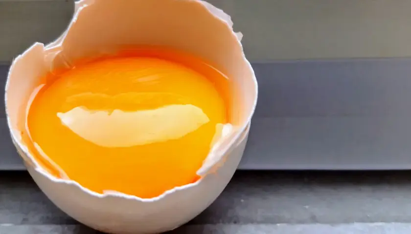 Rozbite jajko z płynnym żółtkiem i białkiem, gotowe do przygotowania posiłku bogatego w **egg protein**.