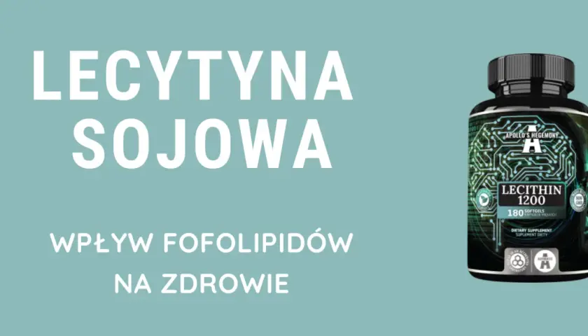 Lecytyna sojowa – wpływ fosfolipidów na zdrowie. Suplement diety w kapsułkach.