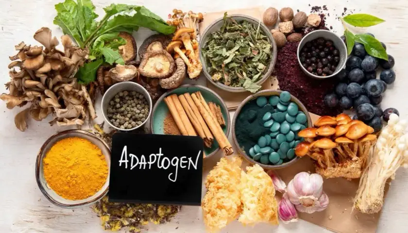 Naturalne składniki, takie jak grzyby, jagody, kurkuma i spirulina, mogą być kluczem do zrozumienia, adaptogeny co to.
