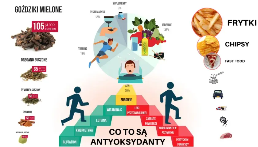 Co to są antyoksydanty? Grafika pokazuje źródła i czynniki wpływające na ich poziom: zioła, sen, trening, jedzenie, suplementy, a także czynniki szkodliwe jak fast food i pestycydy.