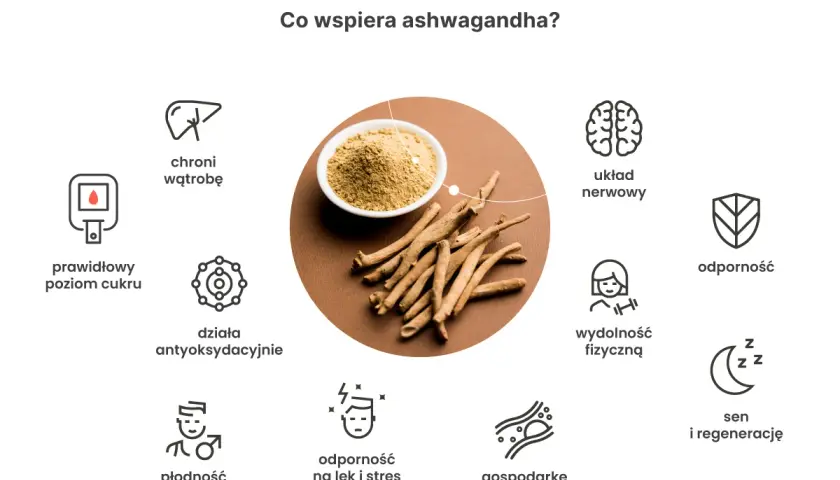 Ashwagandha na noc wspiera sen i regenerację, układ nerwowy, odporność, wydolność fizyczną i łagodzi stres.