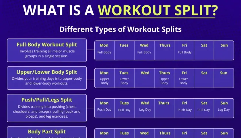 Różne rodzaje treningu split: Full-Body, Upper/Lower, Push/Pull/Legs, Body Part. Wybierz swój plan treningowy.
