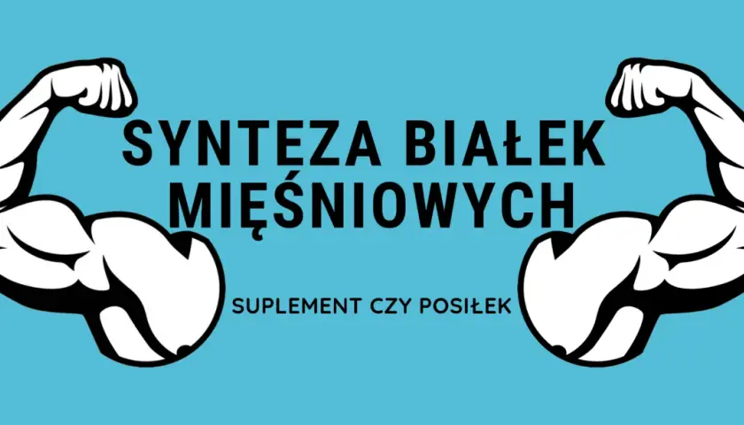 Dwa umięśnione ramiona po bokach napisu "SYNTEZA BIAŁEK MIĘŚNIOWYCH". Poniżej tekst "SUPLEMENT CZY POSIŁEK".
