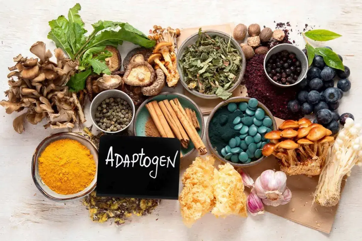 Naturalne składniki, takie jak grzyby, jagody, kurkuma i spirulina, mogą być kluczem do zrozumienia, adaptogeny co to.