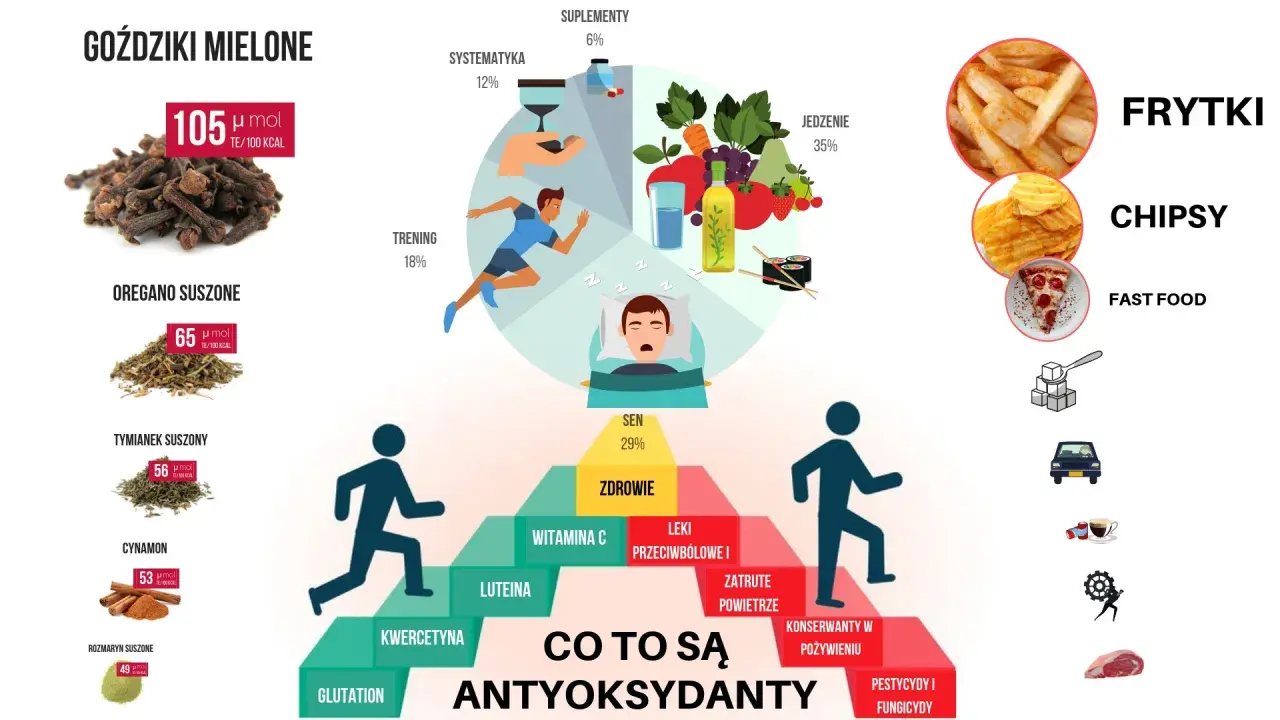 Co to są antyoksydanty? Grafika pokazuje źródła i czynniki wpływające na ich poziom: zioła, sen, trening, jedzenie, suplementy, a także czynniki szkodliwe jak fast food i pestycydy.