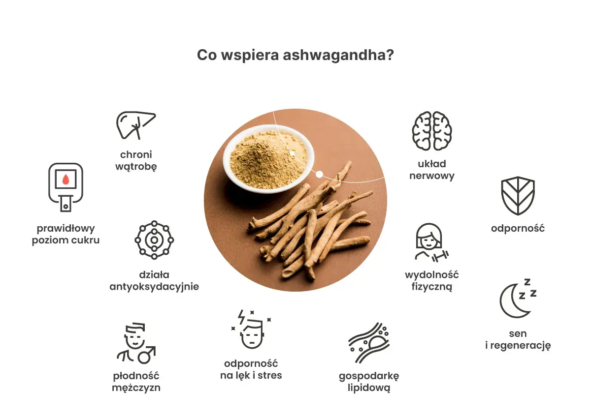 Ashwagandha na noc wspiera sen i regenerację, układ nerwowy, odporność, wydolność fizyczną i łagodzi stres.