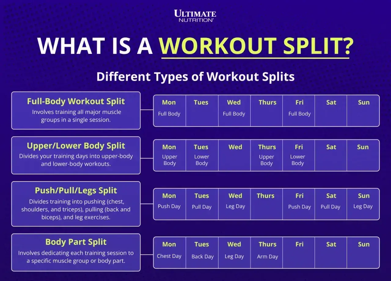 Różne rodzaje treningu split: Full-Body, Upper/Lower, Push/Pull/Legs, Body Part. Wybierz swój plan treningowy.