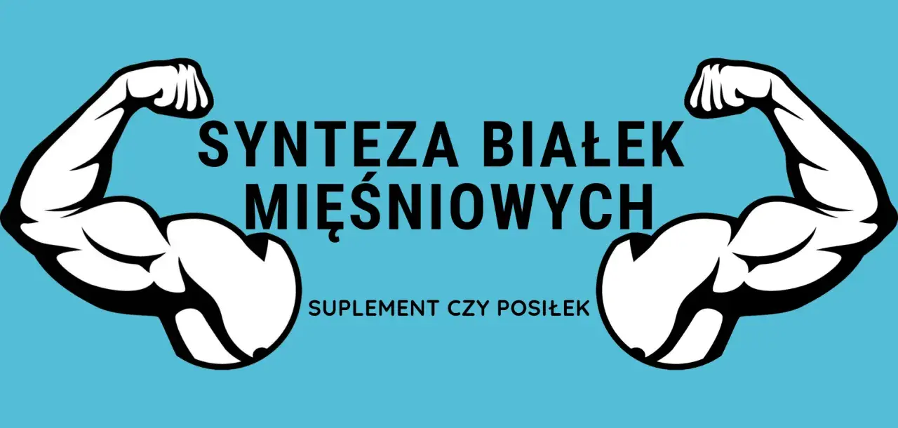 Dwa umięśnione ramiona po bokach napisu "SYNTEZA BIAŁEK MIĘŚNIOWYCH". Poniżej tekst "SUPLEMENT CZY POSIŁEK".
