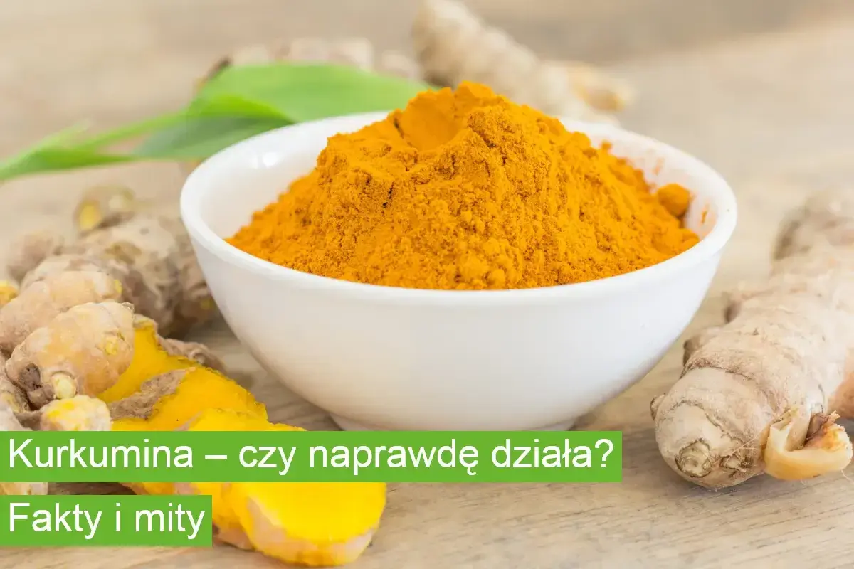 Kurkumina w proszku w miseczce, obok korzeni. Czy kurkumina wlasciwosci to tylko mity?