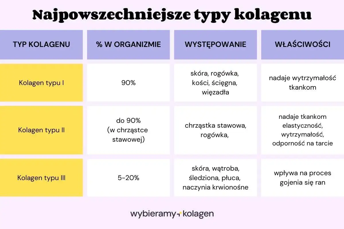 Kolagen typu II występuje w chrząstce stawowej i rogówce, nadając tkankom elastyczność i odporność na tarcie.